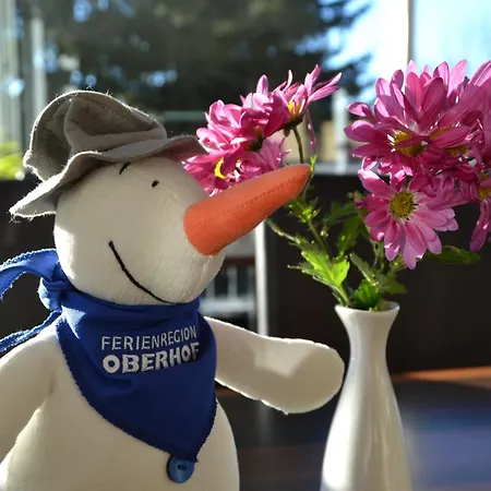 Ξενοδοχείο με διαμερίσματα Sonnenhang Oberhof (Thuringia)