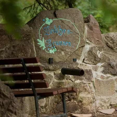 Lägenhetshotell Sonnenhang Oberhof (Thuringia)