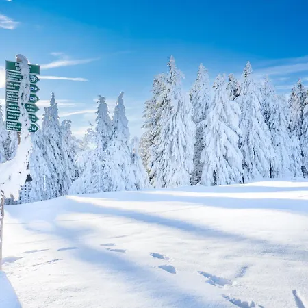Ξενοδοχείο με διαμερίσματα Sonnenhang Oberhof (Thuringia)