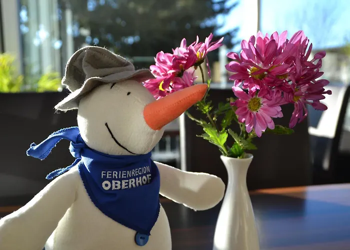 Lägenhetshotell Sonnenhang Oberhof (Thuringia)